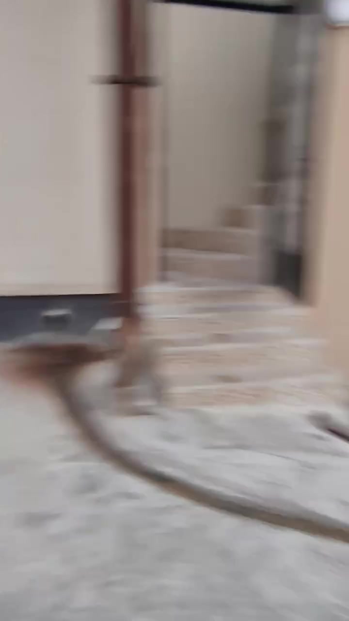حي الحدباء • ١ غرفة • بناء زيرو