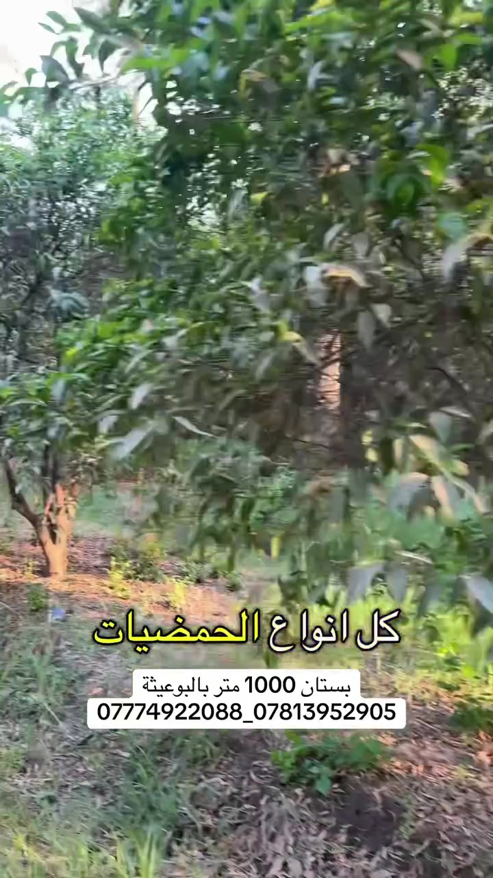 1000 متر بستان في  #البوعيثه 
***********_***********_***********
