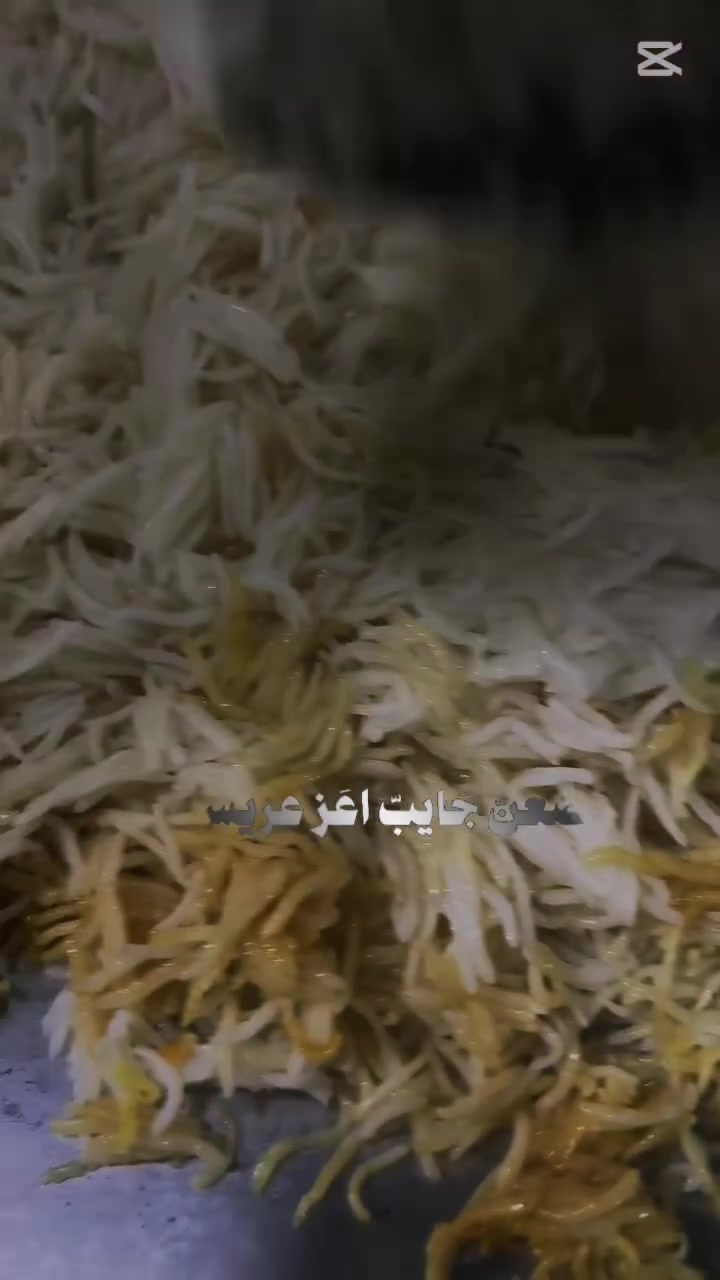 طبخ • جاهزين