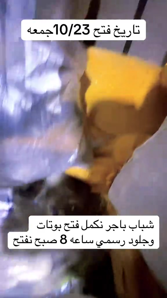فتح ١٠/٢٣ • بوتات • جلود