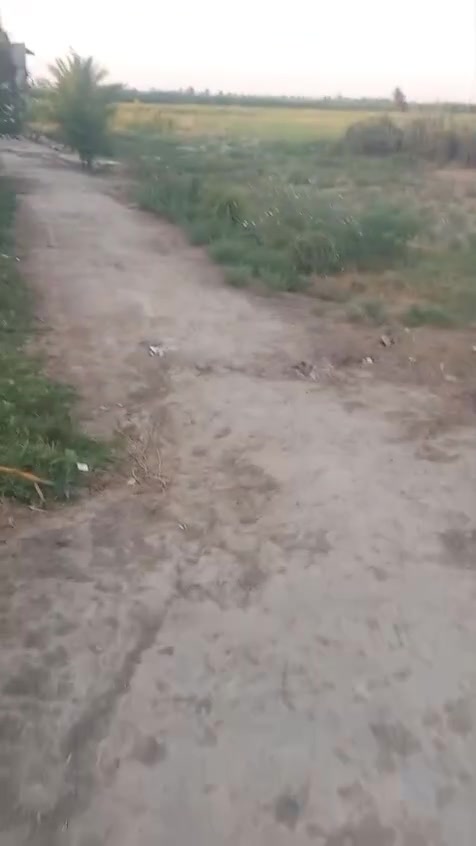 يا الله ارض زراعيه دونمين معه بيت 🏠 البيع الزبيديه منطقة الفردوس عل شارع كلش الرض تصلح ال كلشي الاستفسار الاتصال على الرقم ***********
***********
