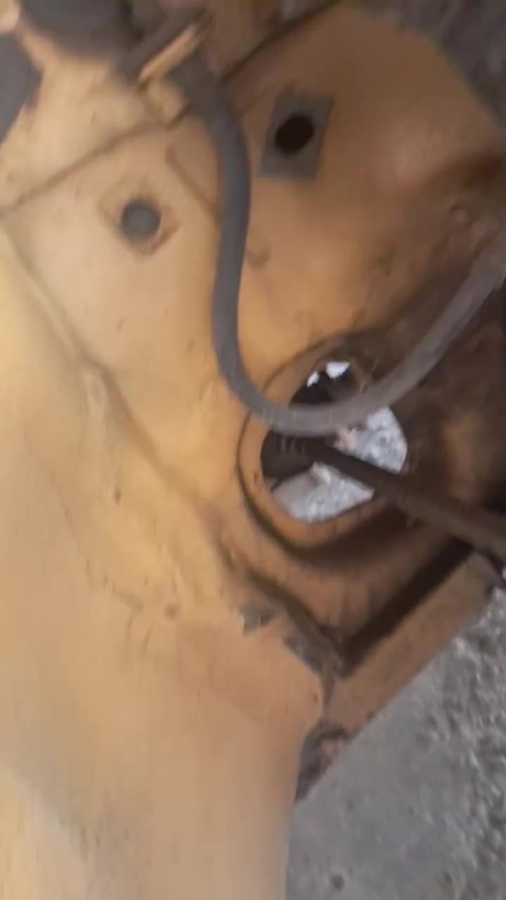 يابه السلام عليكم جايبلكم سايبه بالكارتون ٢٠١٢ سياره خير من الله مكينه وكير خير من الله تبريد شغال بس ضعيف وشواصي شرط مكفوله وين اكو ١٢ شواصي مكفوله والسياره عضمتها كبالكم تخبل ولا عبالك مديل ١٢ رقمها بابل تحول مباشر تاخذ صافي هيئه وغرامات السياره مصبوغه حزام للجماليه وكبالك السياره مناقصها شي مكاني بغداد الدوره عارضها با٢٧ وبيها مجاي فهموني وين اكو هيج سعر بس متوازي عل بيع رقمي ***********
