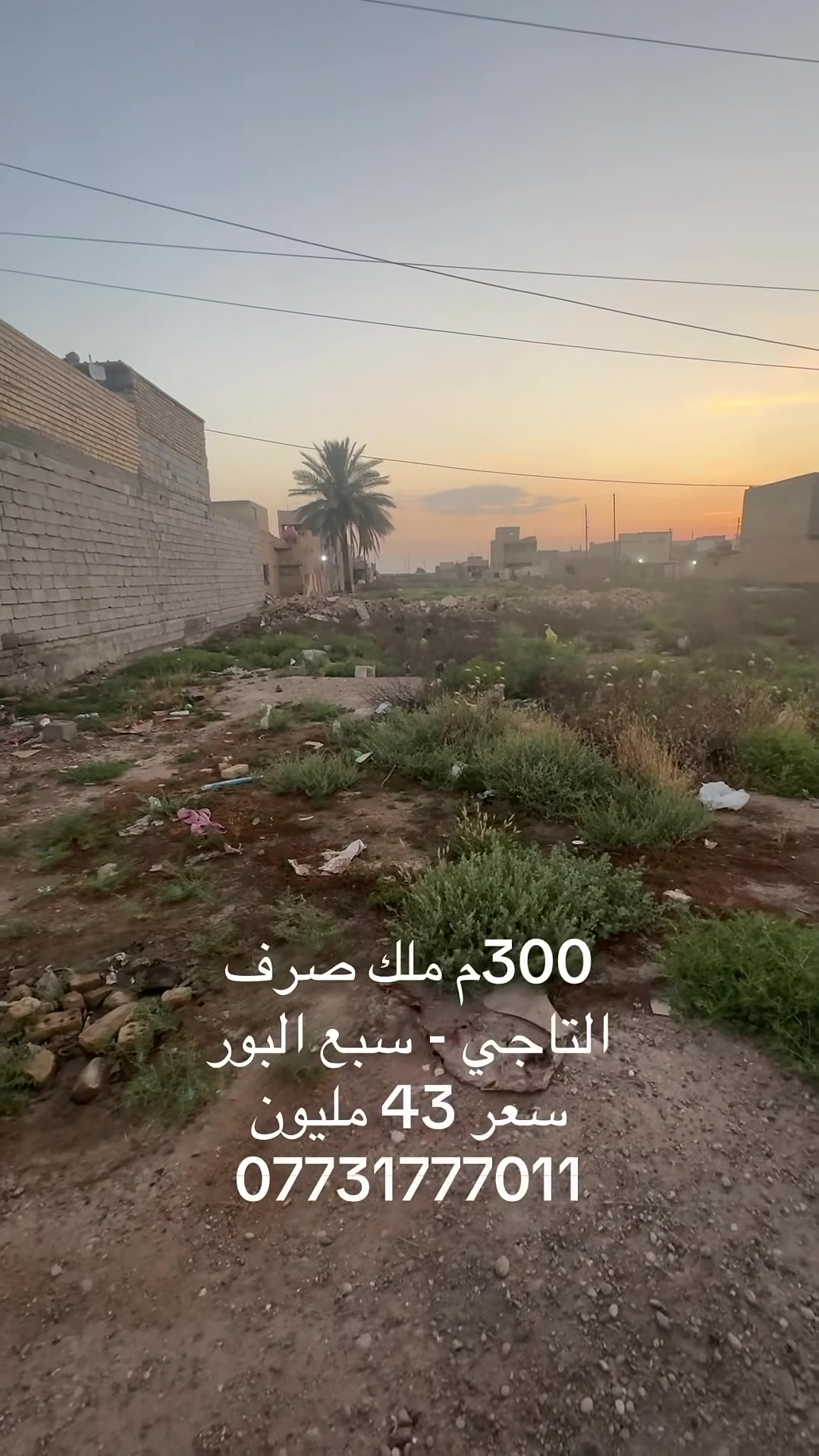 لا توجد تفاصيل
