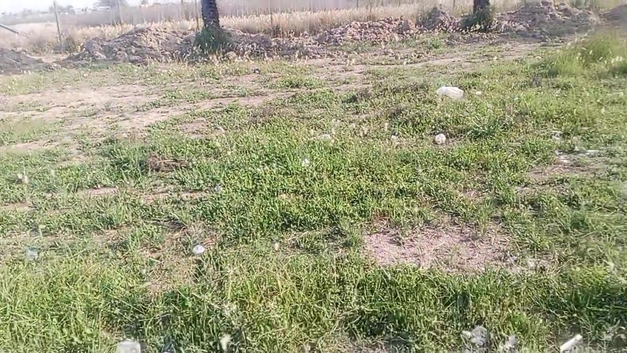 السلام عليكم
قطعة لبيع 
مساحة 200 متر طابو زراعي سند 25 
الموقع شارع المعاره 
قرب السكلات 
موقع مميز جدن جدن 
وسعر مناسب جدن جدن 
اي ستفسار 
‏‪***********‬‏
