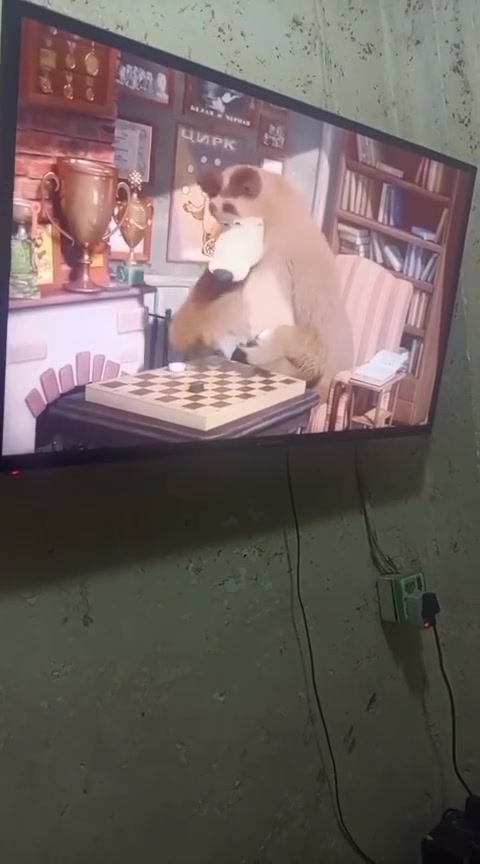 السلام عليكم بلازمات اثنين للبيع انضاف اي خلل او عطل ما بيهن على الفحص تجي تفحص وتقتنع يلا تاخذ (وحده ام النت )(وحده عاديه بدون نت)
سعر ام نت  (140الف ) حجم 43بوصه
سعر  العاديه بدون نت (90الف)حجم 42بوصه 
اي استفسار اذا تحب الخاص موجود 
(رقم هاتف ***********)
