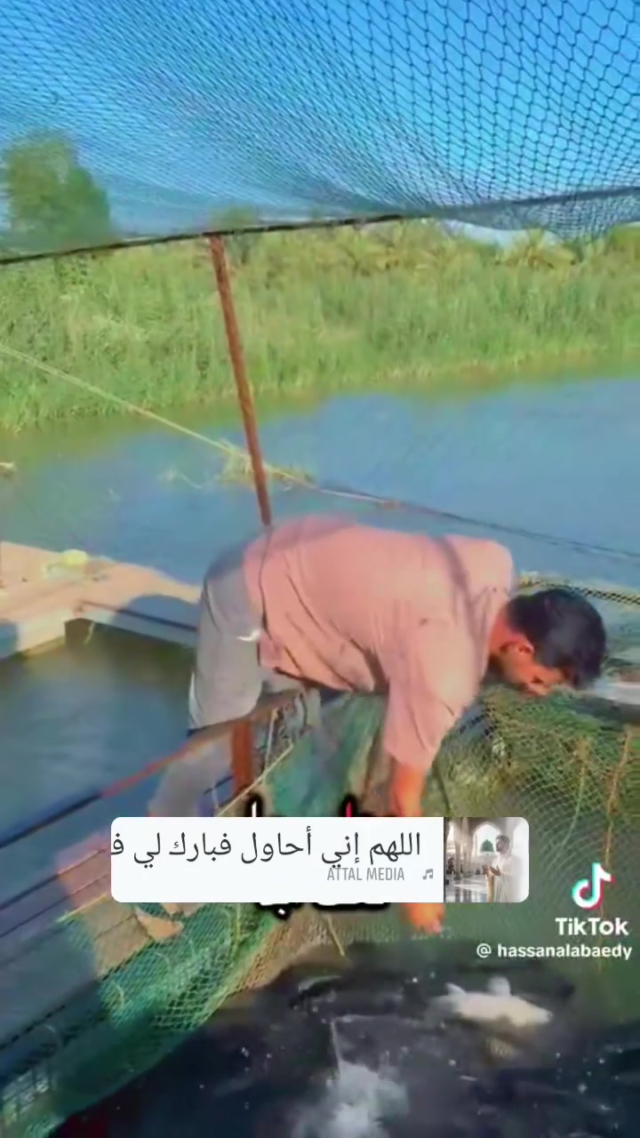 سمك حي • توصيل • الطارمية بغداد