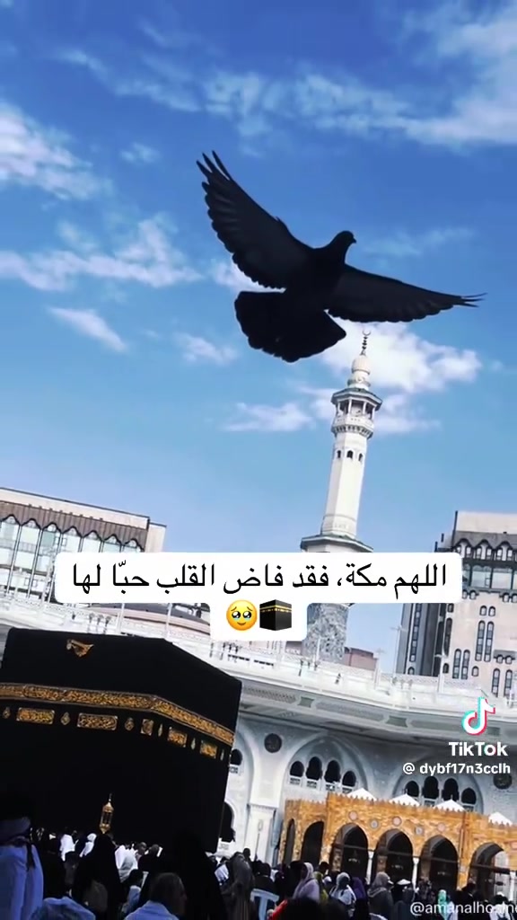🪶*#بسم الله وعلى بركة الله ✨🕋🕋🕋🕋🕋
يعلن مكتب النورين 
 باداره الحاج 🕋
كريم علي النجم ابو انور 💐
وكيل (شركة صفوة البيت للحج والعمره) عن برنامج العمرة بتاريخ 8/21 ويصادف ذكرى ولاده الرسول الاعظم (صلى الله عليه واله وسلم)
برنامج الرحله ❤️❤️❤️
▪️عمرة البــــــر 🚌
السعر 475دولار
او
725 الف دينار 💐💐
 وتتضمن كل مصاريف العمره من اول الرحله ولغايه العوده باذن الله الى ارض الوطن ❤️ السكن افضل فنادق
▪️المدينة المنوّرة المركزيه 
▪️ مكة المكرّمة: محبس الجن 🕋🕋
▪️  ثلاث وجبات طعام بوفيه مفتوح طيله ايام الرحله
▪️ وجبته عشاء بالطريق
+مبيت مزرعة في حائل +وجبه افطار

💐 الخدمات المشمولة:💐
✔️ تأشيرة العمرة
✔️ رسوم الهيئة
✔️ سكن مكة والمدينة
✔️ باصات حديثة 🚌
✔️ هدايا المعتمر  حقيبه  كبيره وحقيبه كتف واحرام رجالي ونسائي
✔️ ارشاد ديني يرافق الحملة
✔️ مزارات مكة والمدينة،🕋🕌
✔️ تنظيم مميز ومتابعة مستمرة
🚦🚦🚦وتخفيضات للعوائل الكبيره
وكذلك الاطفال
وكذلك سفره اختياريه لعروس المملكه ⛱️⛱️⛱️
مدينه جده( البحر)⛱️⛱️
لدينا تنظيم راق. وخدمه مميزه.  واجواء ايمانيه  تبقى بالذاكره 😭😭
  لاتؤجل الخير فقد تكون هذه الرحله بدايه اجمل الذكريات واعظم الطاعات
للاستعلام  والاتصال
مكتب النورين ❤️❤️
 الشيخ حمد 💐
 قرب  قاعه ال البيت
هاتف
*********** واتساب ورصيد
*********** وتساب ورصيد
*********** وتساب ورصيد
