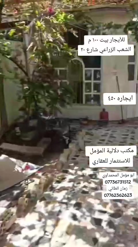 #للايجار ٤٥٠الف 
 الشعب الزراعي شارع ٢٠
مكتب دلالية المؤمل ***********
