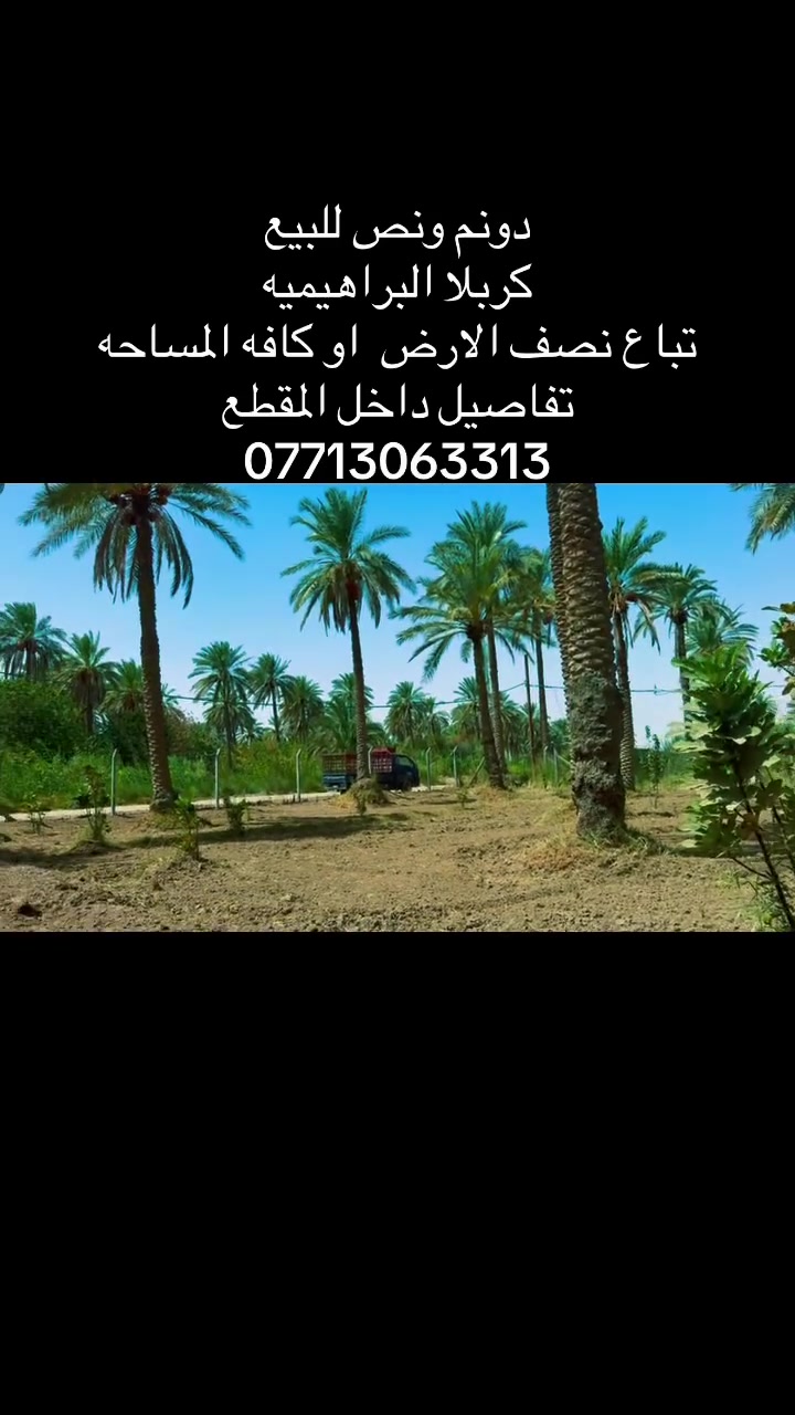 لا توجد تفاصيل
