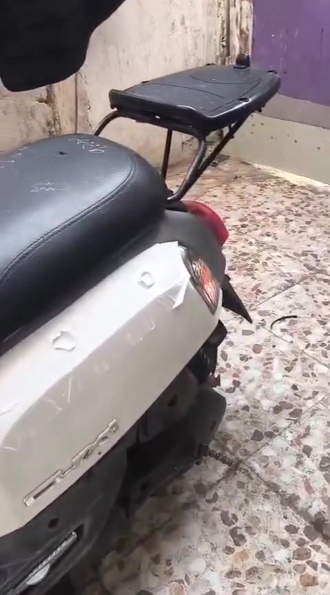 بوليسي • ابيض • مكفوله