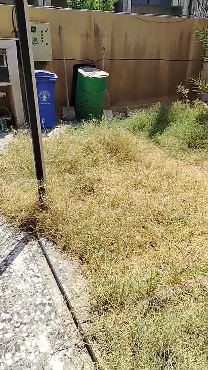 السلام عليكم
اريد عامل يگلب هذا الحديقة وينظفها تنظيف كامل من الدغل والزرع اليابس
ويلم الادغال بكياس جنفاص بمكانها
والشغل يكون العصر
يعني شغلة ساعتين ويخلص ان شاء الله
المكان البنوك سوق النداوي
