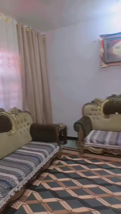 تخم • نضيف