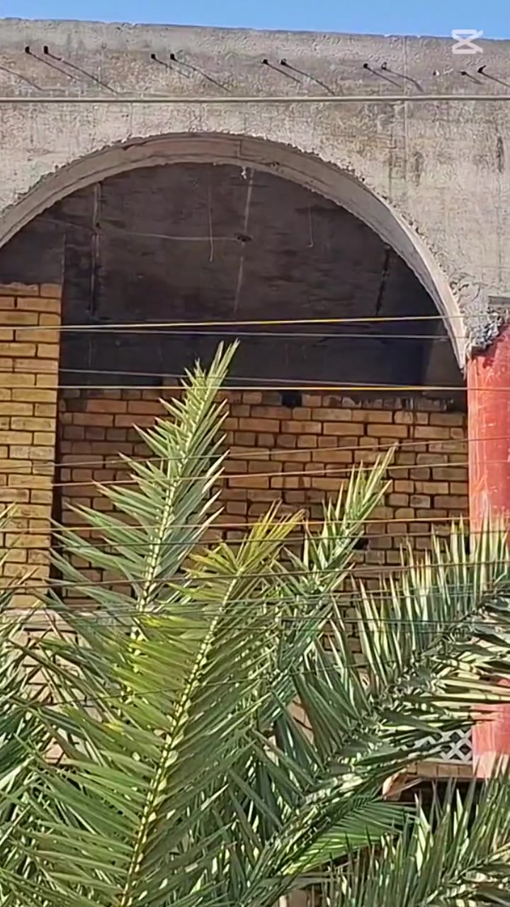 نجار • مصطفى قاسم • توصيل