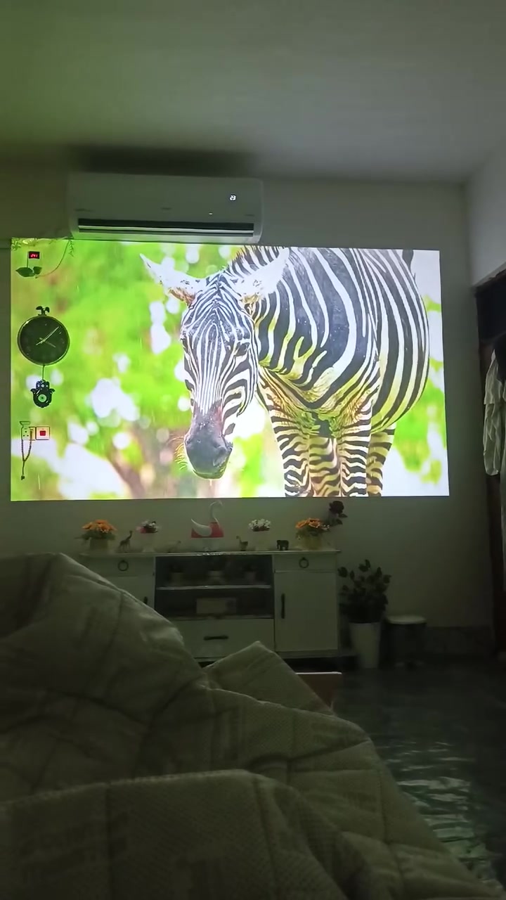 🔥🔥🔥🔥اصلي 🇩🇪🇩🇪🇩🇪
👇👇👇👇👇 Googel TV
اقوى جهاز حاليا من ناحيه الوضوح 

وصل عملاق الاجهزه  Wimius G1  بنظام Googel TV

🌟 قوة الإضاءة والعرض
السطوع: يبلغ 1500 لومن ANSI، مما يتيح إضاءة مساحة عرض تصل إلى 321 سم في البيئات المظلمة.

✨️نسبة التباين: تبلغ 25000:1 لتقديم تفاصيل أعمق بين الألوان الداكنة والفاتحة.

✨️الدقة الأصلية: شاشة عرض عالية الوضوح بدقة 1920 × 1080 بكسل (Full HD) يدعم دقه 4k

✨️عمر اللمبة: وحدة LED مصممة للعمل حتى 30000 ساعة (ما يعادل 20.5 سنة عند استخدامه 4 ساعات يومياً).

🛠️ ضبط الصورة والتحكم
تصحيح الانحراف: يدعم ضبط الصورة الذكي (الأفقي والرأسي).

التعديل الرقمي: يعوض رقمياً التشوّه شبه المنحرف الناتج عن زوايا العرض المائلة.
🎬 النظام والتشغيل

✨️دقة الفيديو المدعومة: يعالج الإشارات بدقة تصل إلى Full HD 1080P و4K.
نظام التشغيل: يعمل بنظام Google TV كمركز وسائط متكامل لتشغيل التطبيقات المتنوعة مباشرة.
مشغل الوسائط: مدمج لتشغيل الملفات تلقائياً دون الحاجة لجهاز كمبيوتر أو مصدر خارجي.

🌐 الاتصال اللاسلكي والصوت
تقنية البلوتوث: مدمجة لسهولة توصيل السماعات ومكبرات الصوت الخارجية لاسلكياً.

بث الشاشة: يدعم ميزات العرض اللاسلكي وعكس الشاشة عبر Miracast وAirplay وChromecast لبث محتوى الهواتف والأجهزة الذكية بسهولة.
للحجز والاستفسار

☎️***********

#داتاشوـ #عارض #سينما #تعليم #بروجكتر #مدارس #قاعه

نص مكتوب في الصور:
- 13 amazon.co.uk TCL C1 Portable Projector for Home Cinema &... £21999 4.4 25 Sponsored Visit the WiMiUS Store 4.6 (544) FIFA Projector 【Official Google TV/Netflix/Disney/Live TV& Dolby Audio】 WiMiUS Smart Projector 4K Portable HDR10 Auto Focus/Keystone Outdoor Projectors 1500ANSI WiFi Bluetooth for Bedroom/Home Cinema For you Live Apps Library Google TV Voice Control Dolby HDR10 NETFLIX hulu YouTube plex HBO Currently unavailable.