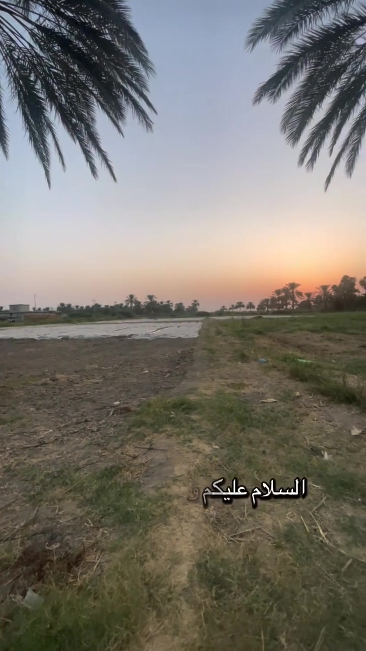 دونم • طابو زراعي • سند ٢٥