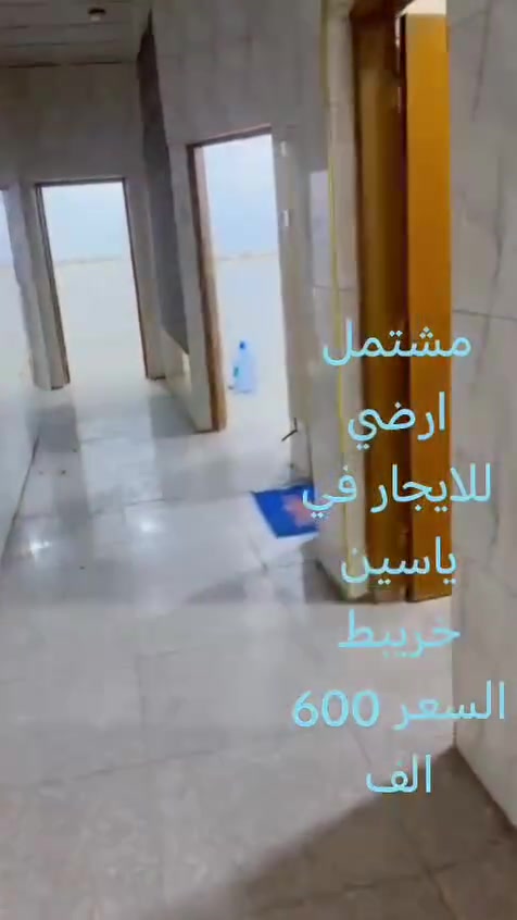 مشتمل ارضي للايجار في ياسين خريبط السعر 600الف الاستفسار واتساب
***********
