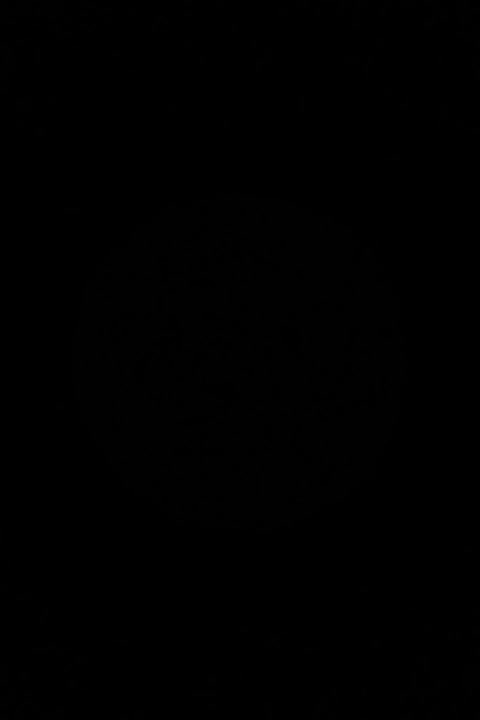 بسكليت • الف50