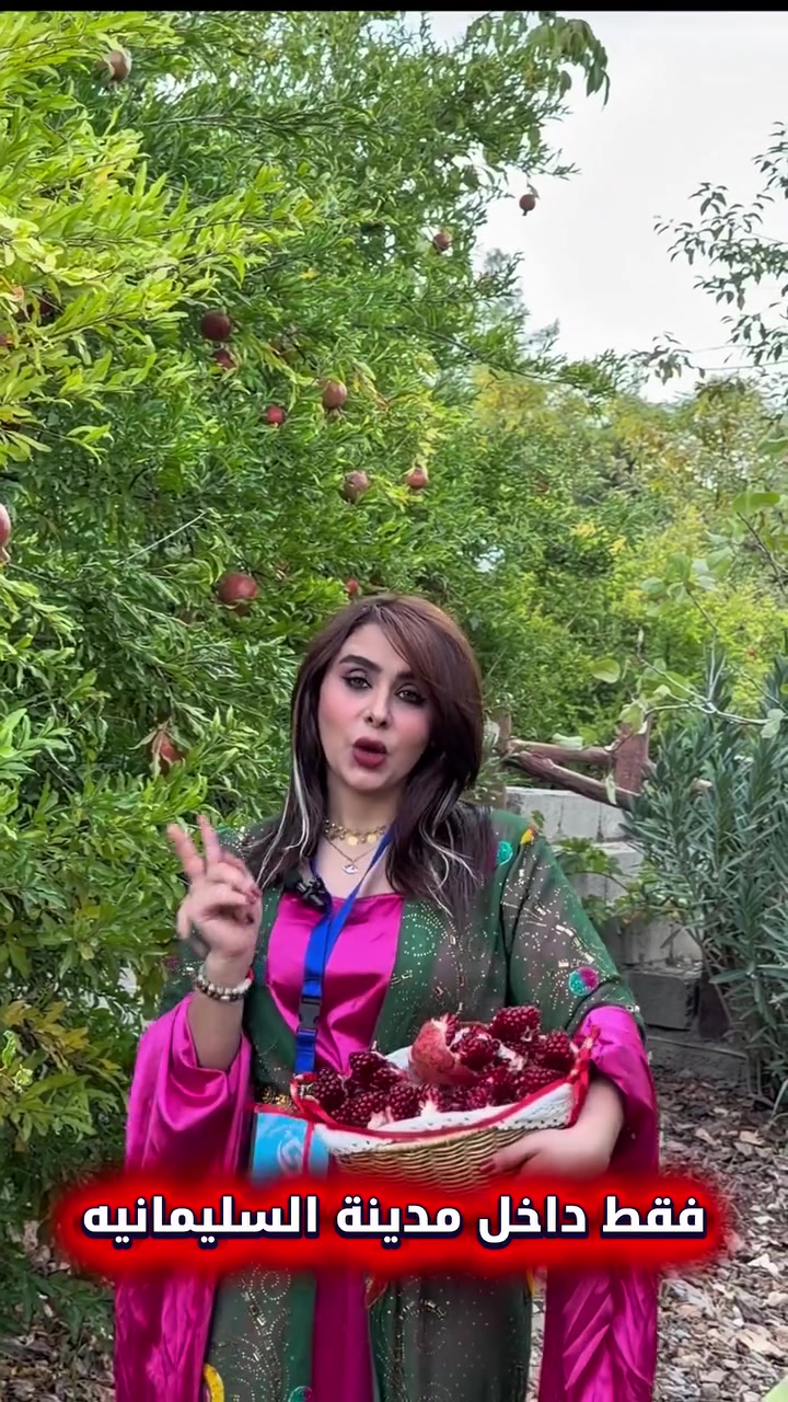 مهرجان الرمان • باص خاص • هورامان وبيارة