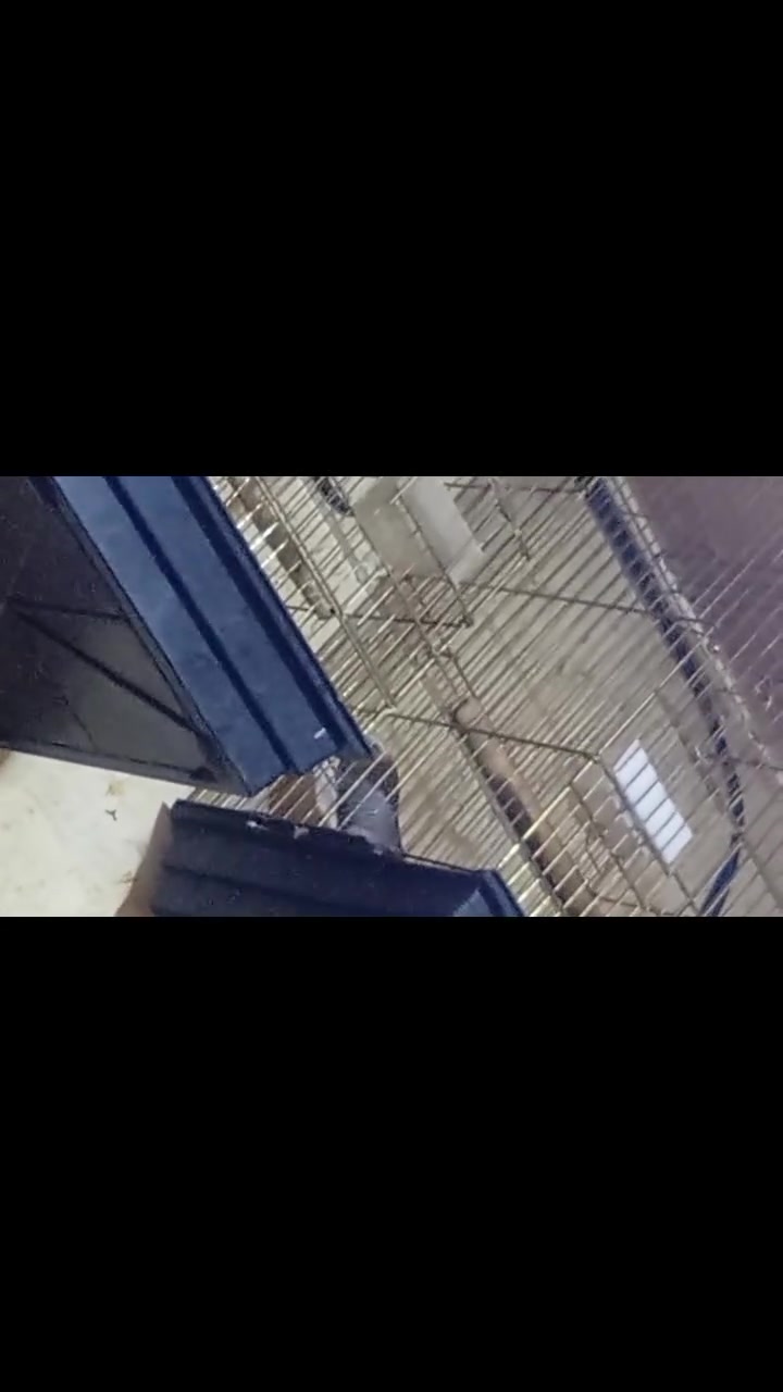 كاسكو للبيع واضح كلامه عنوان البصره 5ميل السعر خاص ***********
