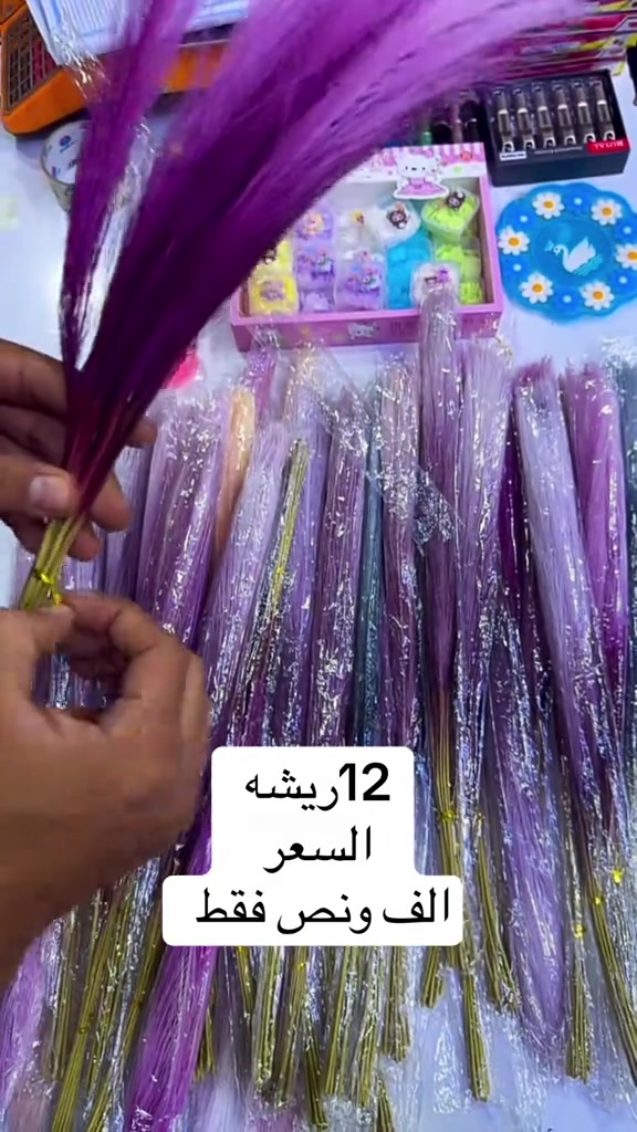 ريشه فازه او ريشه ديكور بأرخص الاسعار  *********** عنوان بابل الحمزه الغربي مول المدحتيه الطابق الثالث 

نص مكتوب في الصور:
- 12 ريشه السعر الف ونص فقط
