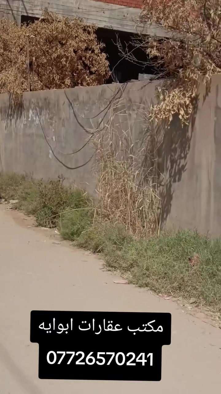 بيت طابو صرف المساحة ٣٠٠ متر مساحة الحديقة ١٠٠ يتكون من ٤ غرف نوم وصاله واستقبال ومطبخ طابقين طويريج حي الجمعيه قرب مدرسه نبع المعرفه الاهليه البيت فارغ جاهز للسكن عرض الشارع ١٥ متر ثاني بيت عن الشارع الرئيسي
أبو إيه ***********
