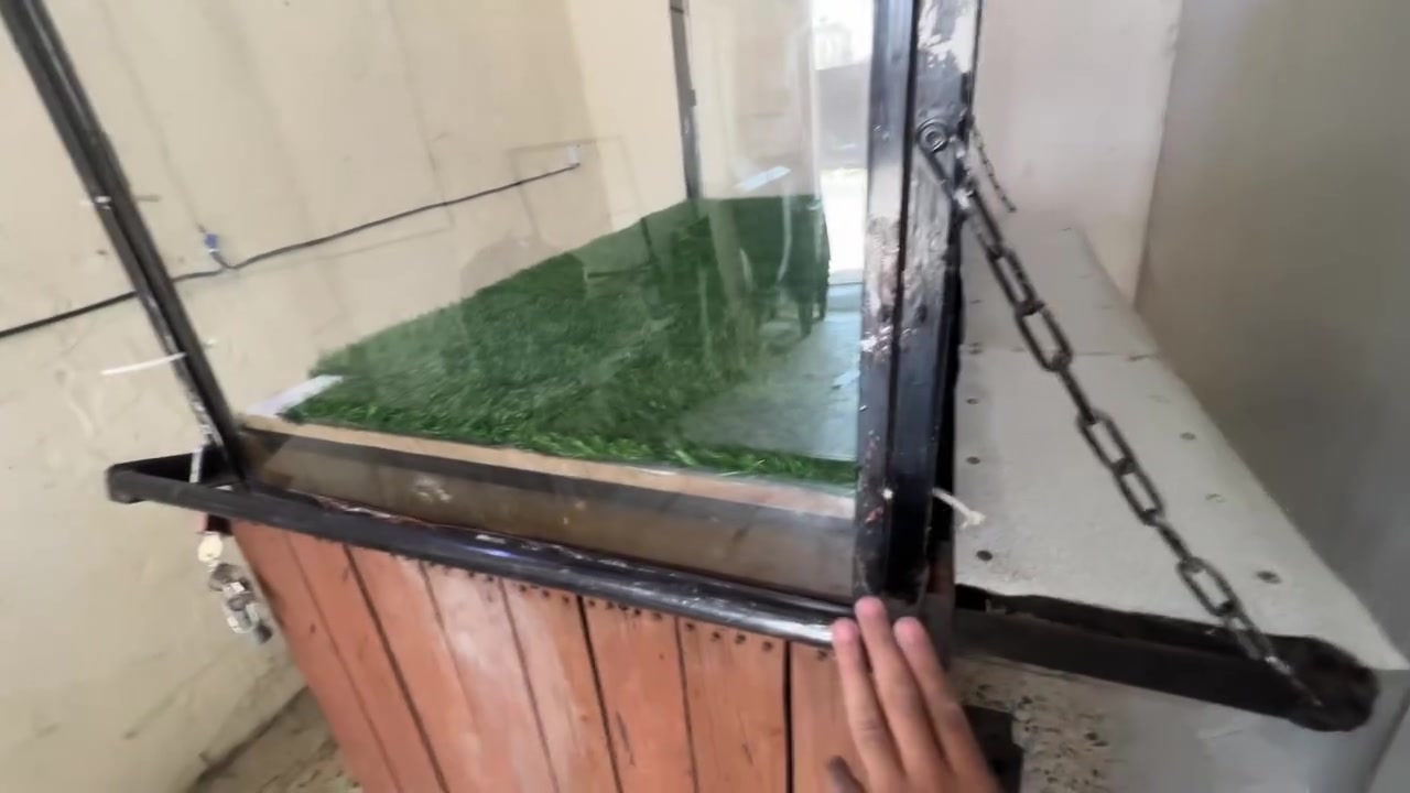 بغداد تفاصيل كلها بلفديو
*********** موجود ع الخط وال والواتساب 
السعر 600 وبيها مجال بسيط 
تفاصيلها كلش حلوه وديكورها مرتب
