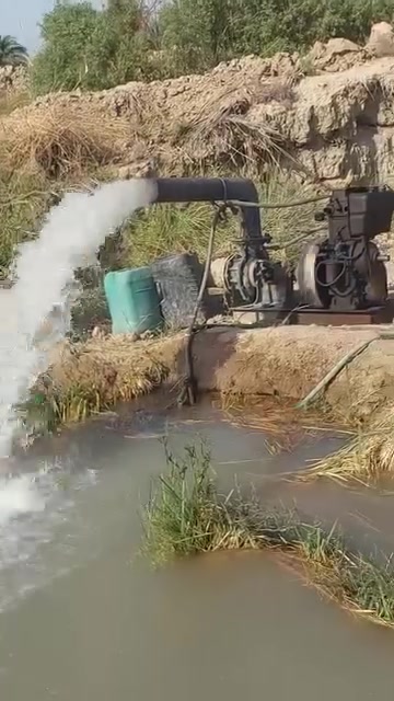 السلام عليكم ماطور ابو العشره احصان للبيع خنزيره 6في 6 ماطور مكفول من الفتح كله على وضع الشركة المكان بابل جبله رقم الهاتف *********** السعر 575 وبيه مجال
