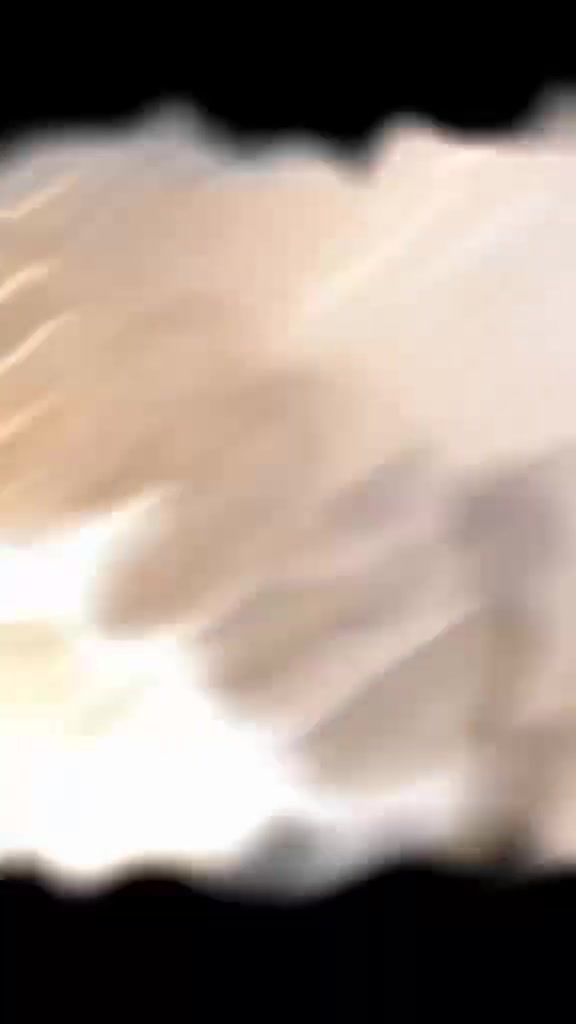 شبابيك 
أبواب 
محجرات 
PVC
***********
