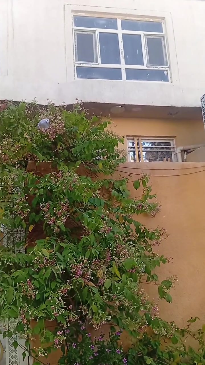 للبيع بيت مميز في كربلاء
📍 الموقع: كربلاء – المعملجي – ملحق حي الزيتون.
⭐ موقع مميز جدًا: يبعد عن حرم الإمام الحسين (عليه السلام) حوالي 3 دقائق بالسيارة (3 كم).
🚌 خط كوسترات: رأس الشارع مالتنا خط مباشر إلى الإمام الحسين (عليه السلام).
📐 تفاصيل العقار:
مساحة البيت: 100 متر مربع.
الواجهة: 6.25 متر.
النزال: 16 متر.
طابق ونصف.
شغل درجة أولى.
سنة البناء: 2022.
🛏️ يحتوي البيت على:
غرفتي نوم، غرفة بالطابق الفوك وغرفة بالطابق الجوة.
استقبال.
هول.
صالة بمساحة 6 × 4 متر.
حمام داخلي.
حمام خارجي.
منور.
⚡ الخدمات المتوفرة:
ماء.
مجاري.
كهرباء.
مولد.
إنترنت ضوئي.
🌿 مميزات المنطقة:
الشارع مقنرص.
الفرع هادئ.
الجيران ناس طيبين.
توجد حسينيات قريبة.
🌴 ومتوفر خيار البيع أو المراوس بأرض زراعية بمساحة دونم.
📞 للاستفسار ومعرفة التفاصيل أكثر:
***********
🏠 فرصة مميزة للسكن بموقع قريب من حرم الإمام الحسين (عليه السلام

نص مكتوب في الصور:
- بيت للبيع كربلاء - المعملجي ملحق حي الزيتون يبعد عن حرم الامام الحسين (ع) 3 دقائق بالسيارة (3 كم) موقع مميز خط كوستررات راس الشارع مالتينا الى الامام الحسين المساحة 100 متر الواجهة 6 وربع متر النزال 16 متر انترنت ضوئي مولد كهرباء مجاري ماء شغ شغل درجة أولى مبني سنة 2022 الشارع مقنص الفرع هادئ الجيران ناس طيبين وفيه حسينيات يحتوي على: • 2 غرف نوم ( واحدة فوك وواحدة جوة ) • استقبال + هول + صالة 6 × 4 • حمام خارجي + حمام داخلي (منور) بيع او مراوس بأرض زراعية من دونم وجوة للاستفسار اكثر واجهة البيت الاستقبال الهول المطبخ المنور الحمام الداخلي الحمام الخارجي غرفة النوم (جوّة) مع او مراوس بأرض زراعية من دونم وجوة للاستفسار اكثر للاستفسار و التفاصيل *********** فرصة مميزة لا تفوتها