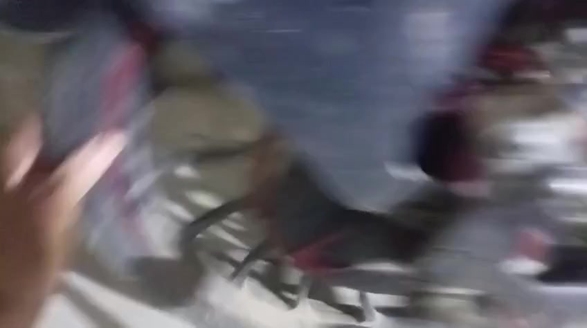 سلام عليكم  شباب دراجه شحن حجم كبير 20لبيع وقيم بما يرضي الله  بيع تفصيخ او كامل لسفسا رعلا هذ رقم***********

