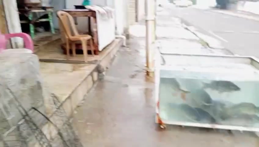 سمك مسكوف • تنور طين • حي سومر