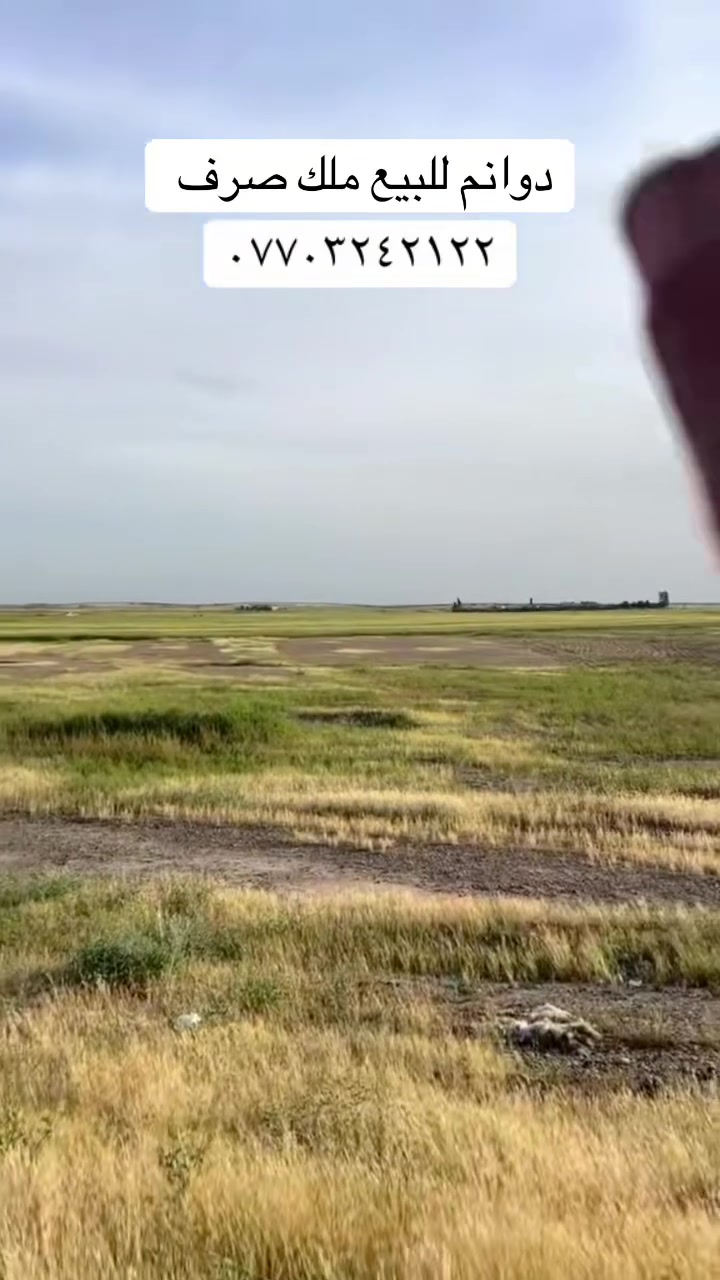 دونم • ٥٠×٥٠ • ملك صرف