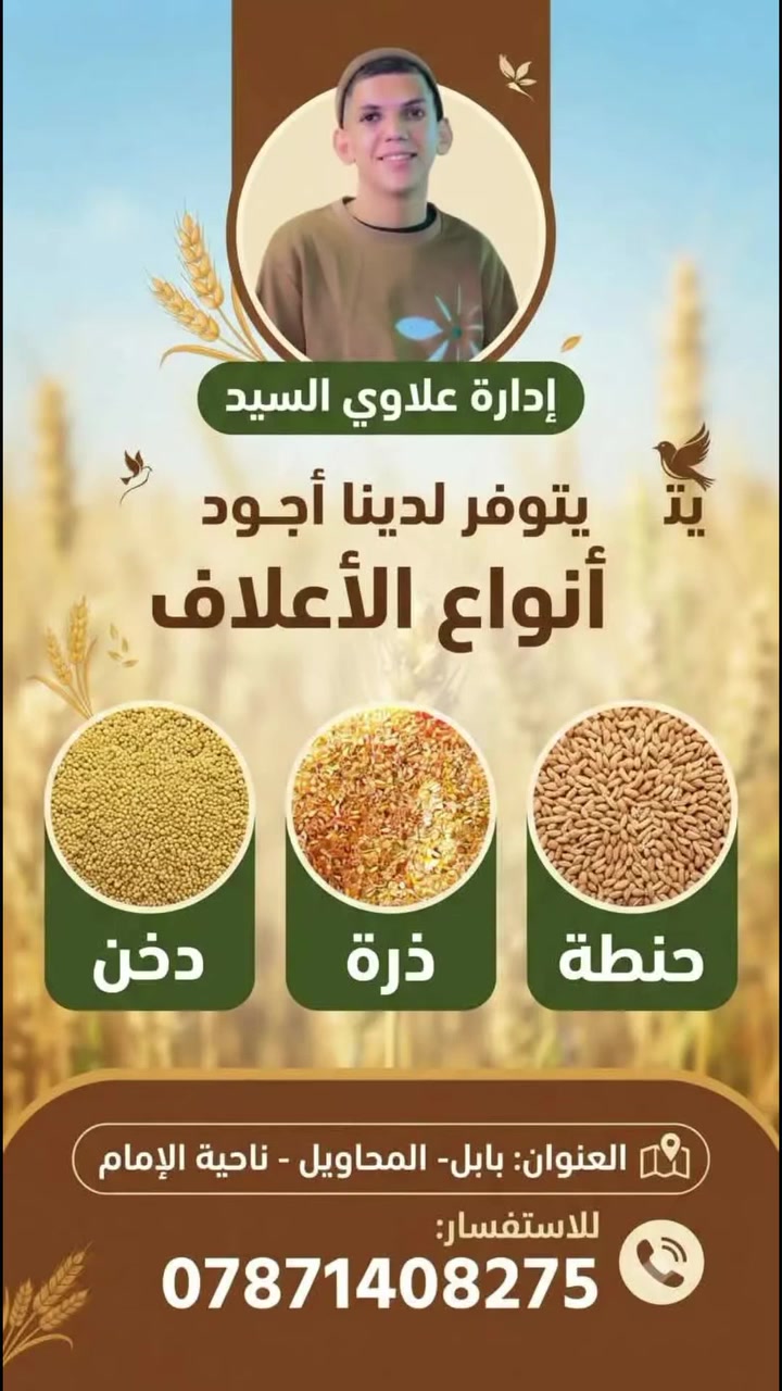 ذرة مكسرة • علف طيور • بابل المحاويل