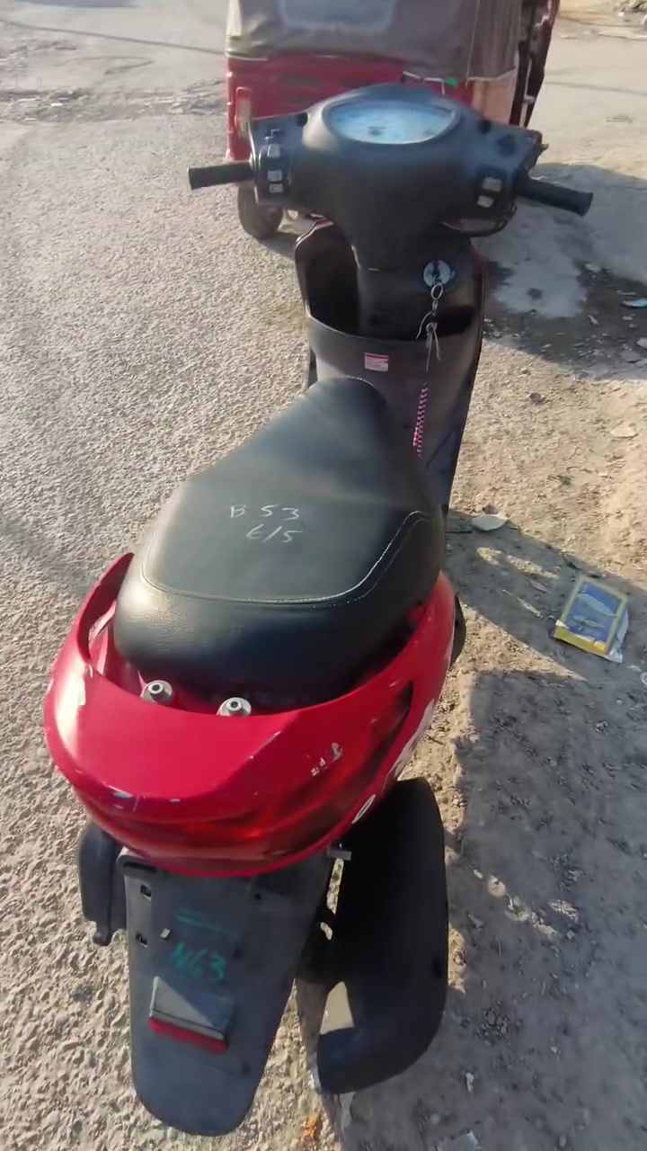 ببغاء • حالة الوكالة • كفالة