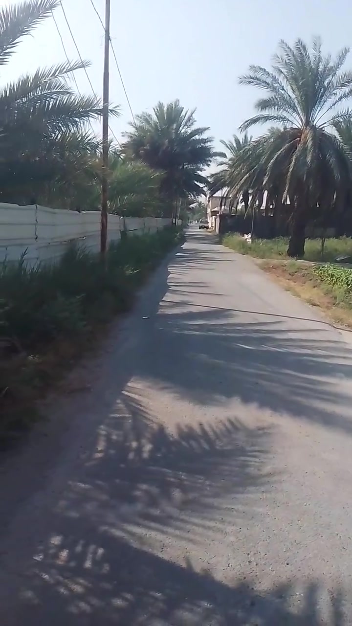 السلام عليكم هيكل للبيع الدورهر رجب استفسار على هذا الرقم جنس العقار طاب وزراعي سنه 25 ***********

