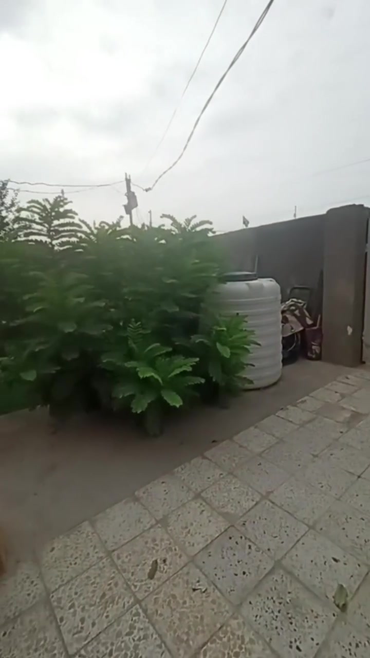 يا الله 
بيت بناء بلوك السقف عكاده مساحة 650م
مساحه جداً واسعه البيت يحتوي على غرفة نوم 1 وهول ومطبخ واستقبال 
بيتونه وستاره.
عنوانه كوت حي الجهاد زنابره قرب التارتان على جهة الشط.
للاستفسار الاتصال 
***********
