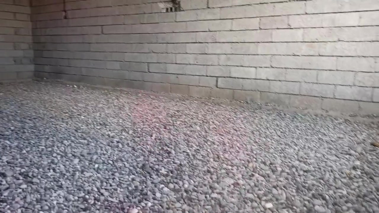 كادر عمال • تفليش بيوت • شركاط