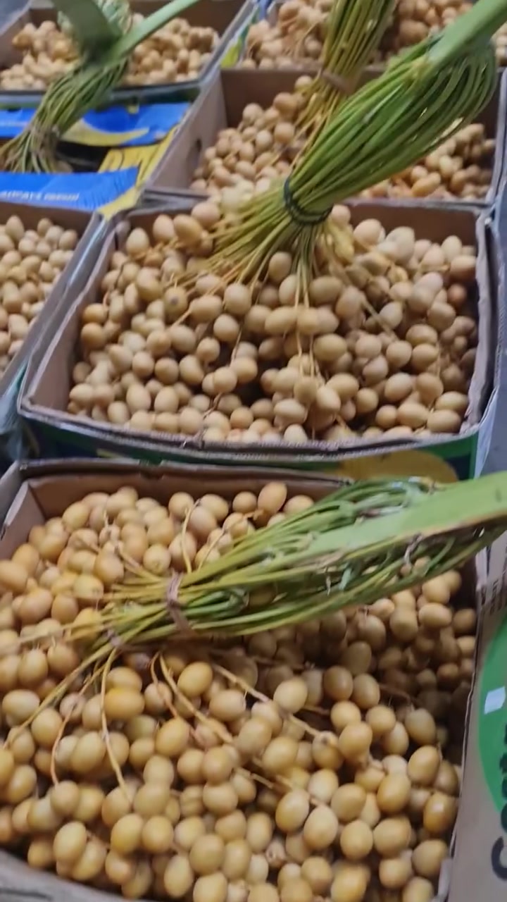 علوة الأخوين مجمع الأميرات الأول البوابه الرئيسية مقابل مجمع الكرار
