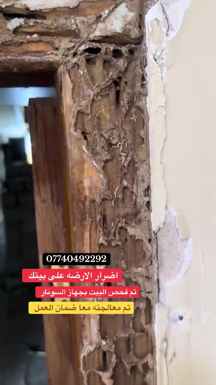 مكافحة #الارضة #اتصل_الان  #بغداد #بغداد  #العراق  #مكافحةحشرات ***********
بيت - دائرة - مجمعات سكنية - مدرسة
مع شركة الهدى الزراعية لكشف ومعالجة حشرة الارضة بجهاز السونار
وكادر هندسي متخصص
 #العراق #بغداد #اتصل_الان
💥 ضمان 5 سنوات
‏‎ ✅ كوادرنا تعمل على مدار 24 ساعة ⏰

📌 سارع الان باتخاذ القرار الصحيح وتخلص من حشرة الأرضة

🏢 فروعنا متوفرة بكل بغداد وتكدرون تزورونا 

 ☎️ #الاستفسار اكثر او الاتصال على ***********
او مراسلة صفحتنا على الواتساب ***********
