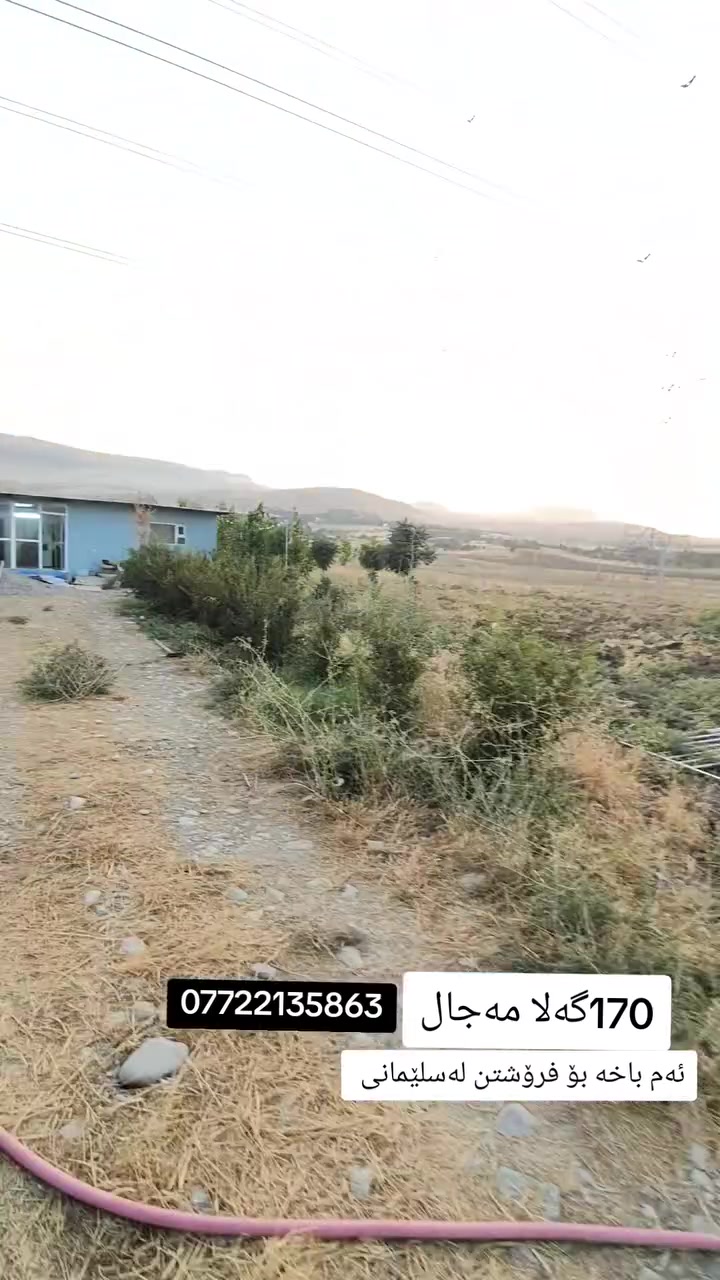 السليمانية • باغ • للبيع