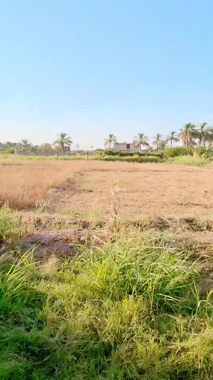 للبيع موقع مميز  دار +  دونمين
تبعد الارض عن شارع حله بغداد 250  متر فقط 
العقار يرهم مراوس بدار طابو صرف 
2دونم المساحه 5000متر طابو زراعي سند 25  
متوفره جميع الخدمات السكن كهرباء وماء اساله ومولد ذهبي
مع نهر سقي  كميه الماء على مدار السنه متواجده 
الموقع المحاويل بداعه الناصريه قريه ام الذره قرب حسينه الحسن ومجاور بانزين خانه التفاحه 
علما يتععهد البائع ان العقار خارج جميع المحرمات 
للأستفســـــــار الاتصال على الأرقام التأليه 

***********

***********

او زياره مكتب المحامي العقاري علي راجي العلواني الكائن المحاويل مدخل حي 17 قرب فينيسا
