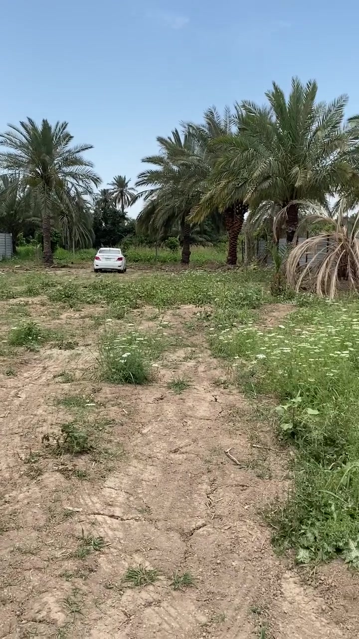 تويثه • ١٠٠٠م • كهرباء وماء