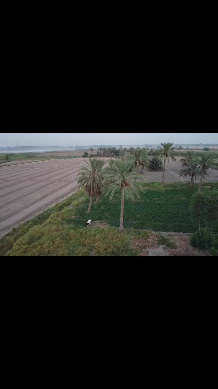 تصوير درون ( اللطيفية )
للاستفسار 
***********
