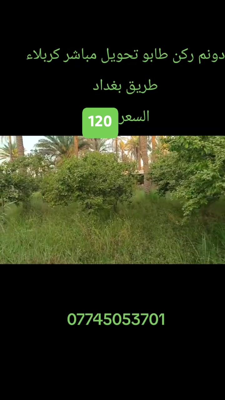 تعلن أرض الفردوس للعقار 
عن 
🍊 فرصة مميزة للبيع –
 دونم مخدوم في كربلاء 🍊
للبيع دونم زراعي ركن مخدوم في موقع مميز قريب من طريق كربلاء–بغداد، مزروع بأنواع مختلفة من أشجار الفاكهة 🌳🍇🍊
✅ خدمات متوفرة
✅ أشجار فاكهة متنوعة
✅ موقع مناسب للسكن والاستثمار الزراعي
✅ قريب من طريق بغداد كربلاء
💰 السعر مناسب جداًجدٱ
📞 فرصة مميزة لا تفوتها، للاستفسار والتفاصيل تواصل معنا.
أرض الفردوس للعقار
***********
