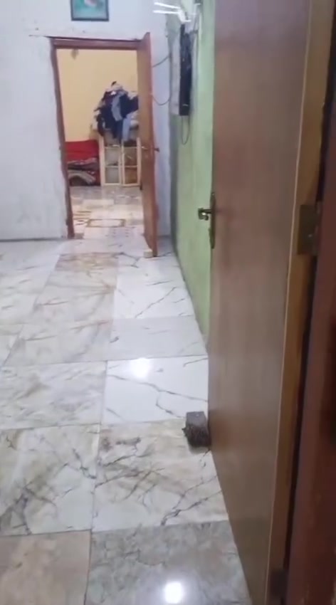 بيت للاجار بدور الشرطه قرب بانزيخانه الكندي متكون غرفه وصاله ومطبخ طارمه زغيره وصيحات منطقة هادئ اجاره 200  قفل  ***********
