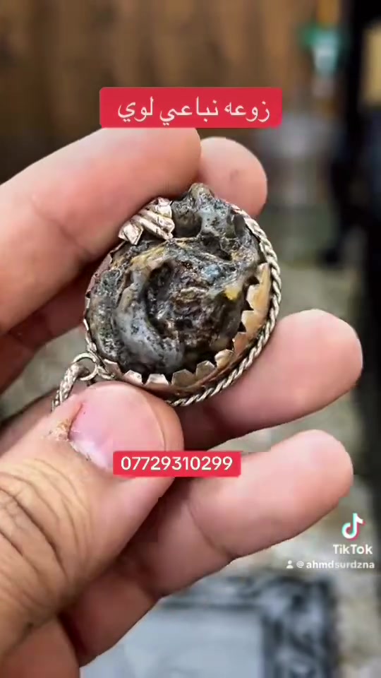 السلام علكيم / زوعه نباعيه لوي 
قطعه مختلفه ومصوره 
توكيلات كامله بضهر القطعه فضه الف 
يوجد توصيل لجميع المحافضات 
***********
