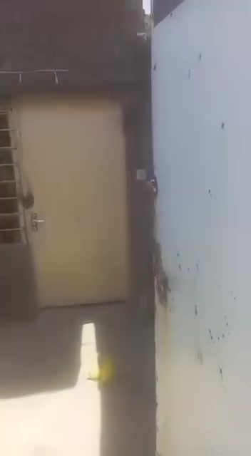 بيت وقف قادري الكاظمية بعد مرور الكاظمية ب ٣٠٠ متر
واضح بالفيديو مساحة ٦٠ متر الغرفة الجبيرة عكادة 

متواجد واتس اب فقط ***********  تسليم فوري
