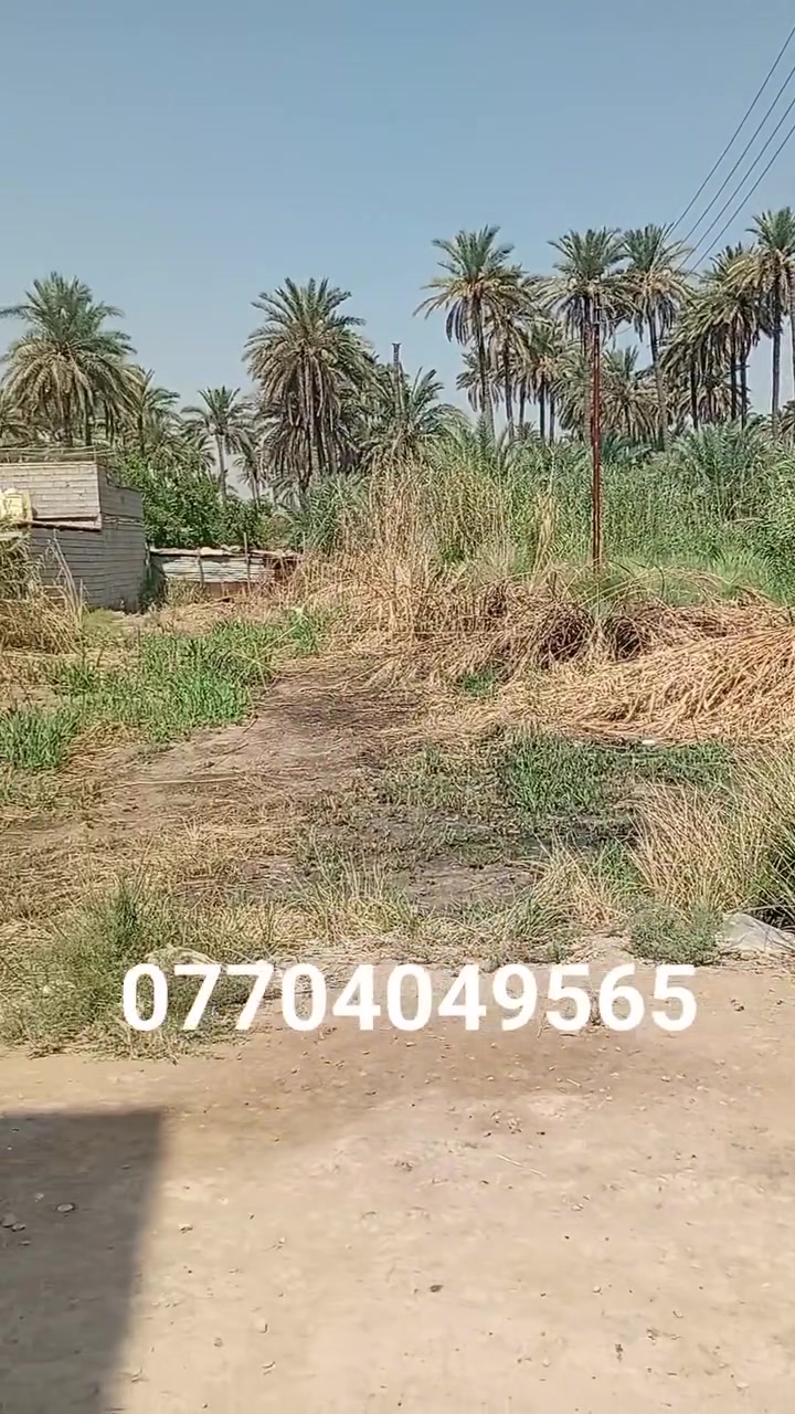💥 قطعة أرض للبيع 
📍الموقع : بهرز ـ الشاني ـ توزيع اكرم هادي الحيدر 
📐 المساحة : 125م  الوجه 10م ( ركن ) 
🧾سند الملكية : زراعي قرار 25 

خدمات كاملة ( ماء ، مجاري ، كهرباء ، شارع سبيس )

للأستفسار : ***********
