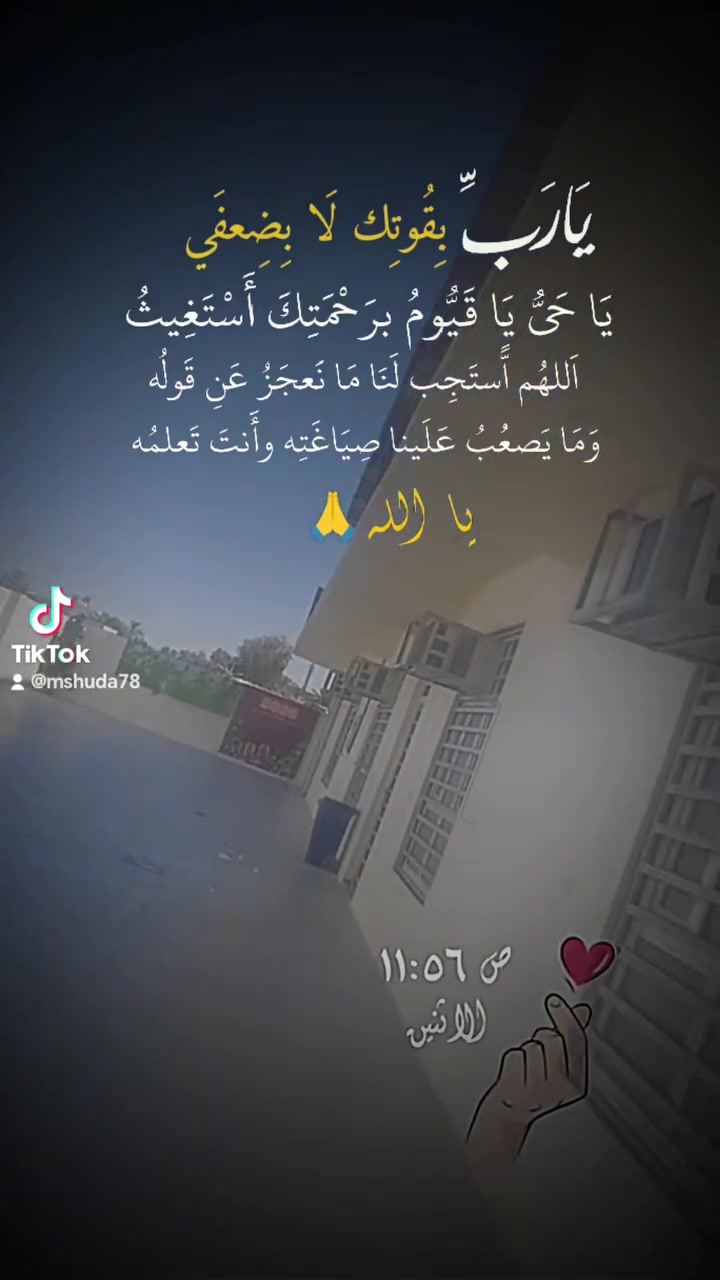 مدارس نوارس العلم الأساسية "إبتدائي مختلط" و"متوسطة بنات "
