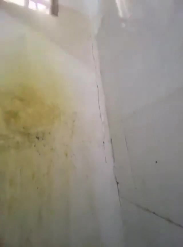 كادر صباغين متوفر
بنسبة تخفيض عالي جدآ
الكادر متخصص
صبغ دواخل
صبغ خوارج واجهيات 
سحبات فوم
صبغ  شبابيك 
صبغ بيبان
مواد عازله للرطوبه
للاستفسار 
مراسلة الصفحة 

***********
يتوفر واتساب
